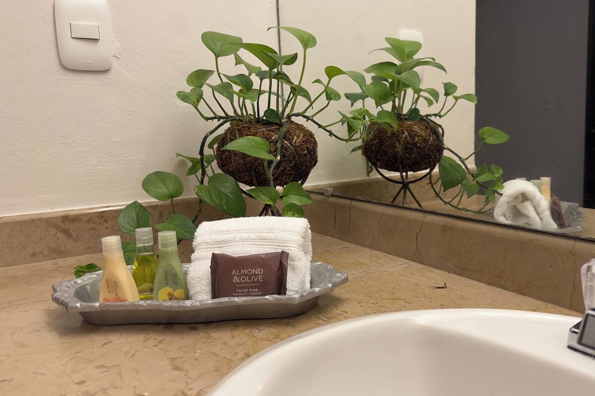 A bathroom with a sink, a mirror, a plant, and toiletries on the counter.
