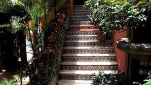 Una escalera con peldaños decorados, rodeada de vegetación exuberante y plantas en macetas.
