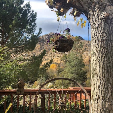 Mountain view. Sequoia Lodge