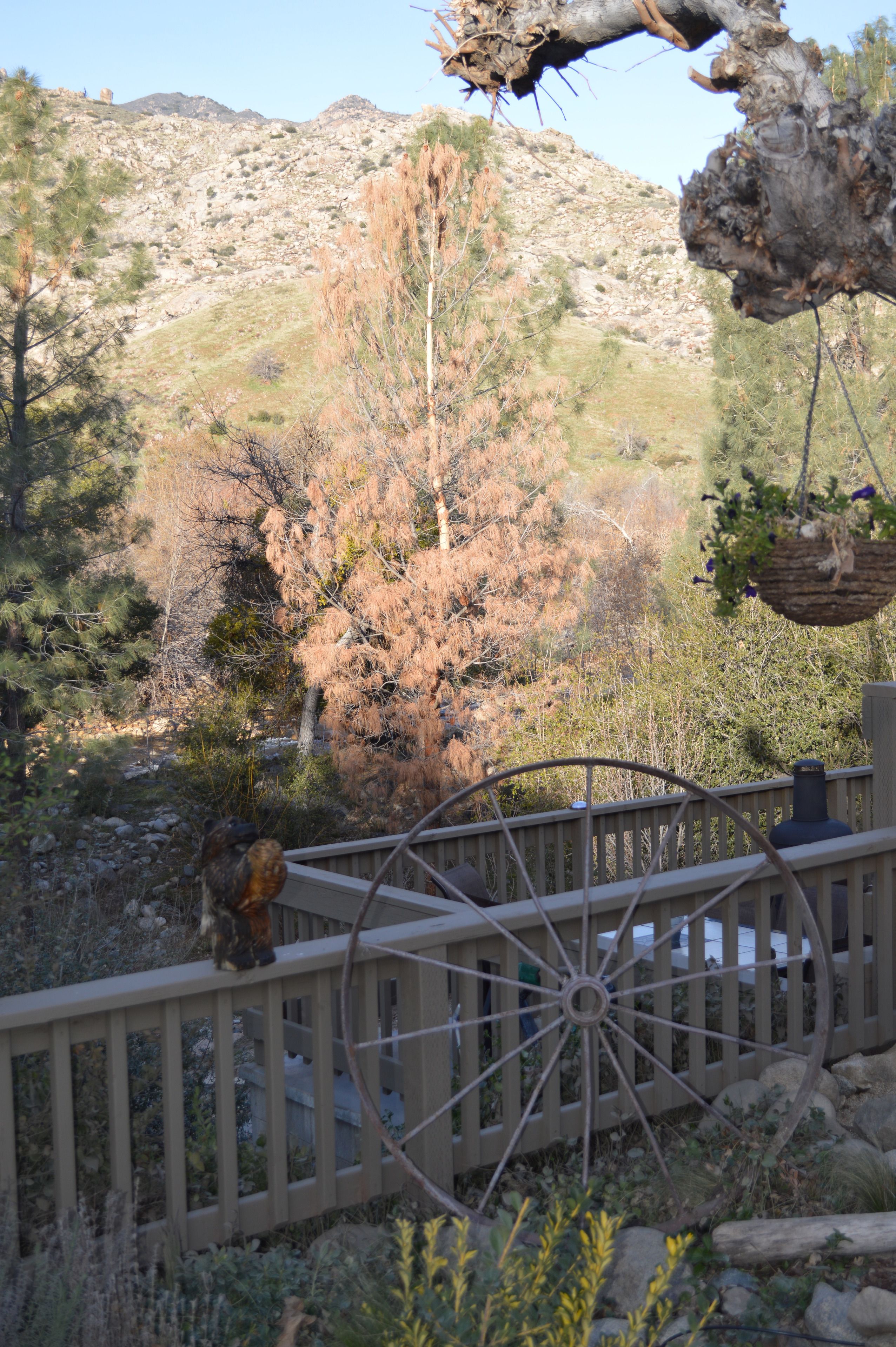 A wooden deck with a rustic wheel chair, surrounded by a garden with various plants and a mountainous backdrop.