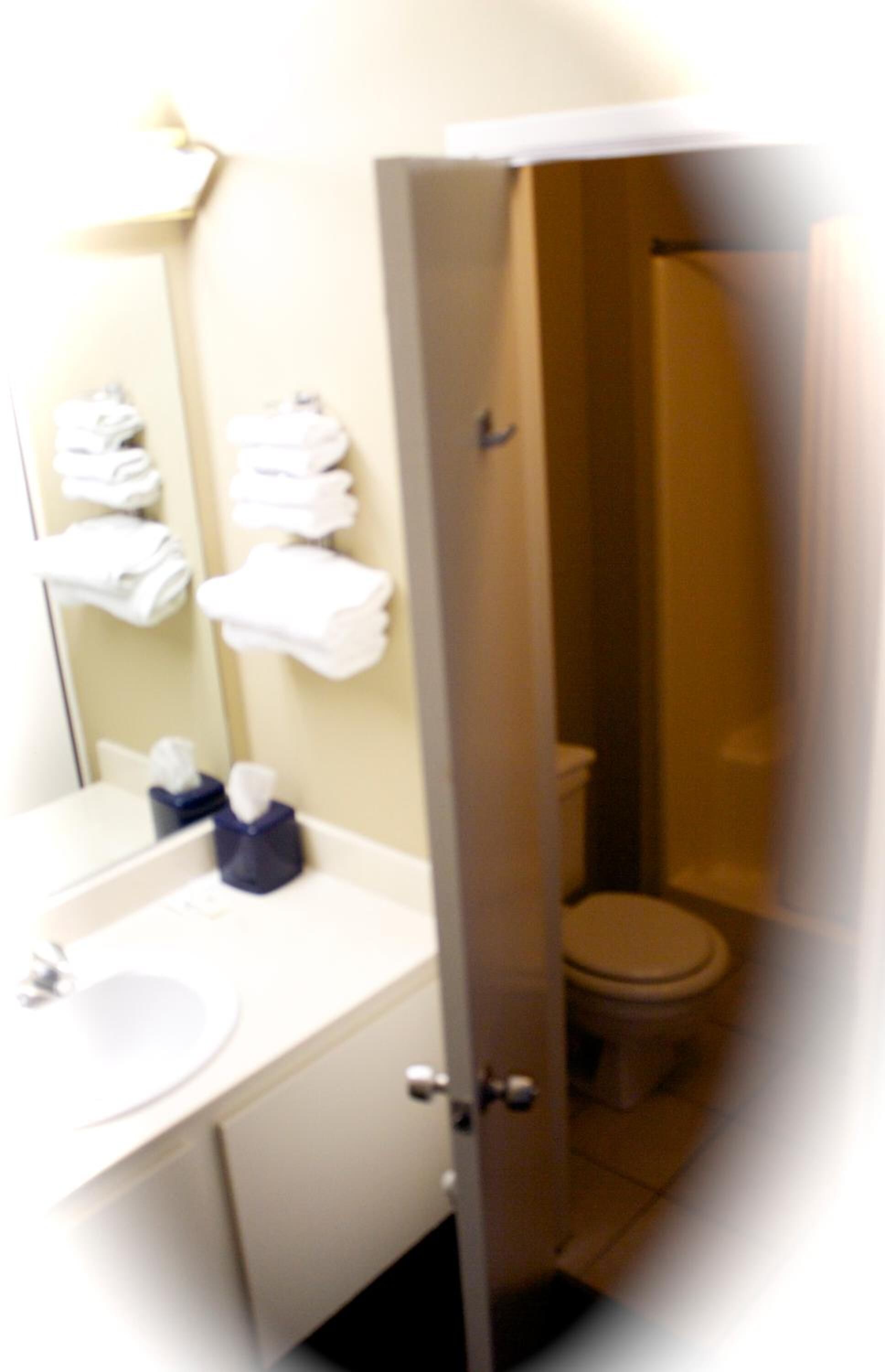 free toiletries, hair dryer, towels