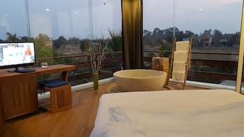 Executive Suite | View from room