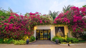 A hotel entrance with a glass door, surrounded by lush pink bougainvillea and palm trees.