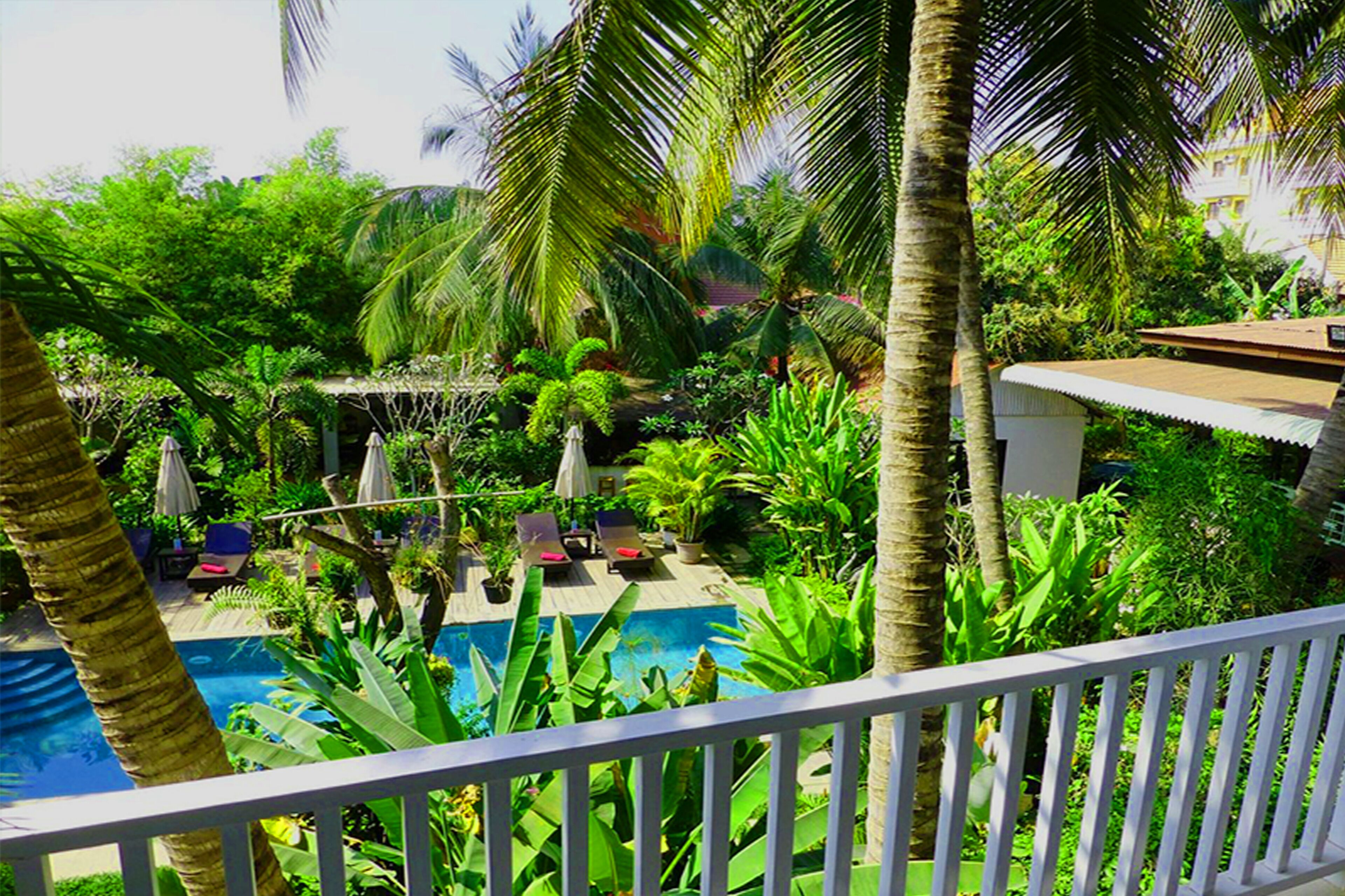 A pool area with lounge chairs and umbrellas, surrounded by lush greenery and palm trees.