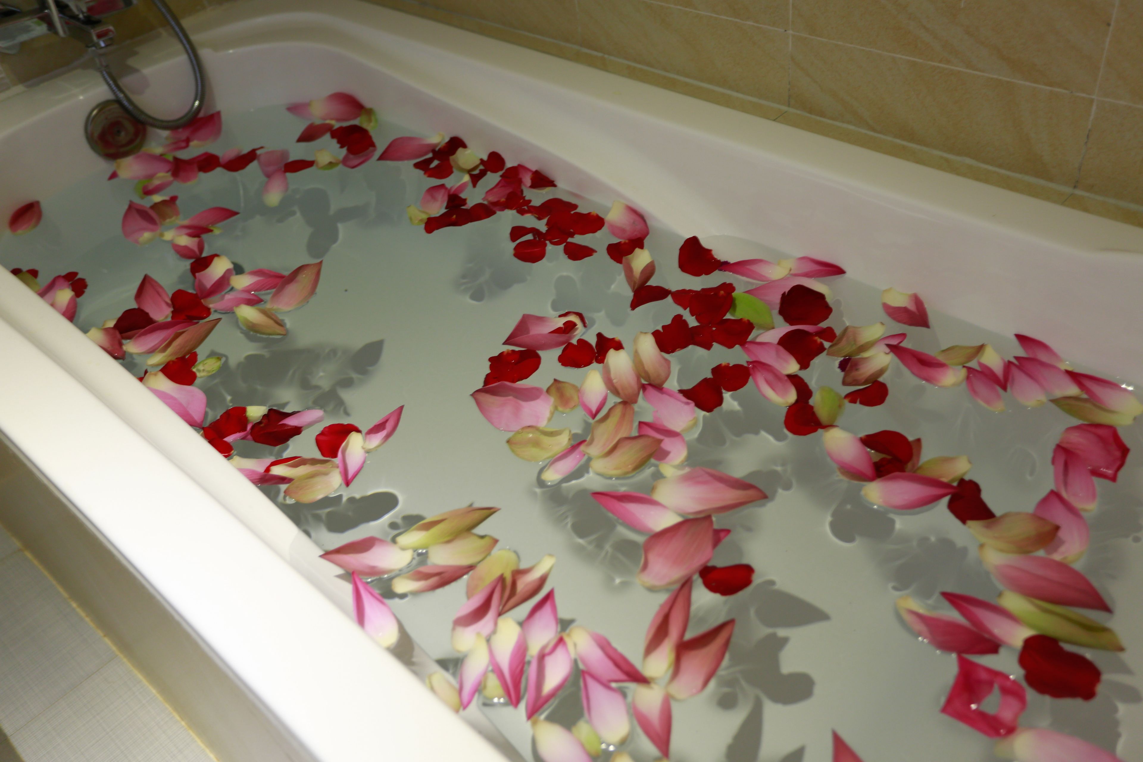 A bathtub filled with rose petals.