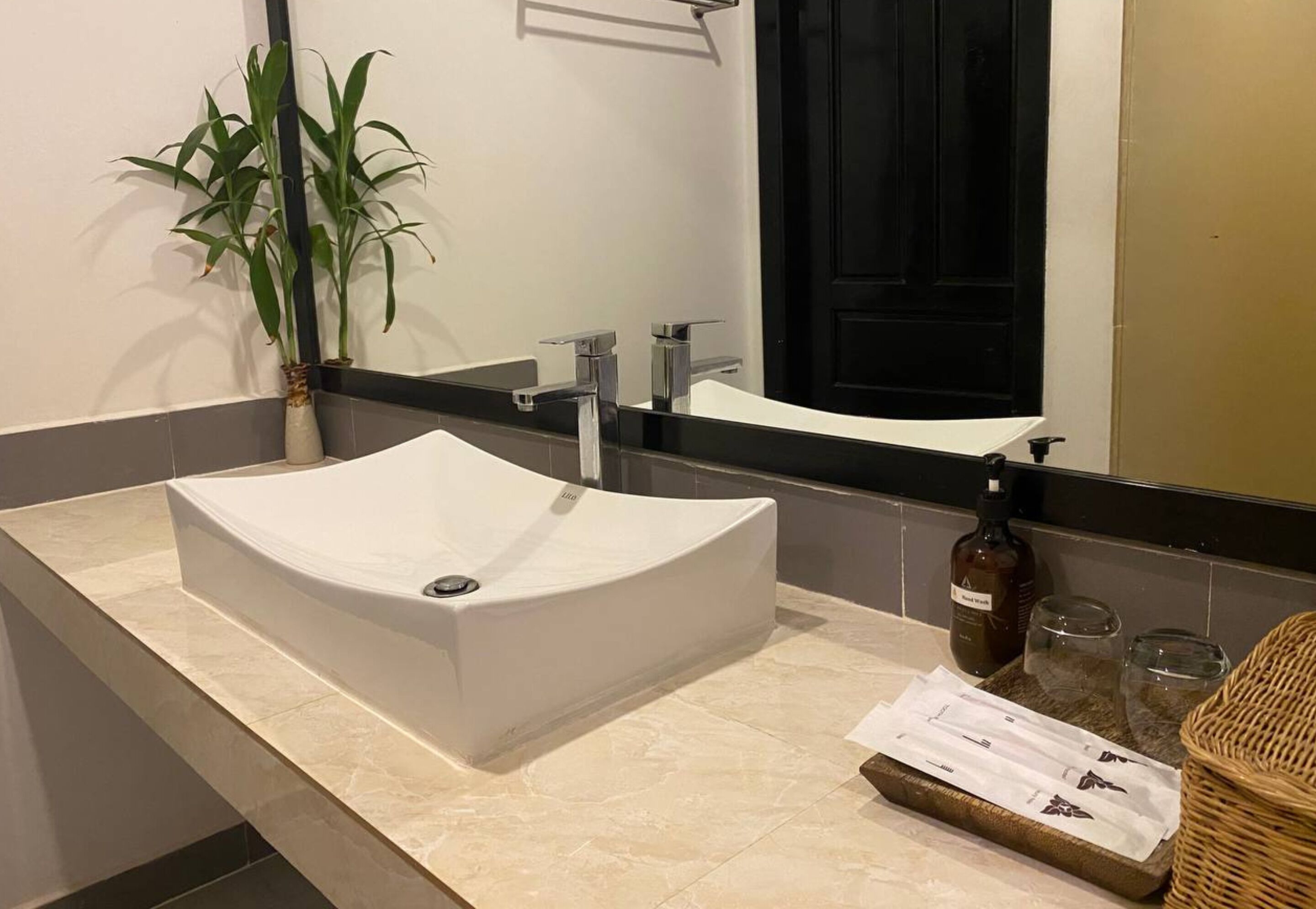 Une salle de bain moderne avec un grand lavabo blanc, un miroir et une plante en pot.