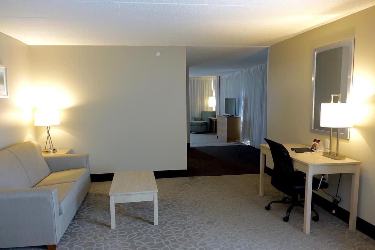 Suite, 1 King Bed with Sofa bed