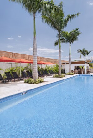 A swimming pool with lounge chairs and palm trees. - Marriott Port-au-Prince Hotel (Port-au-Prince)