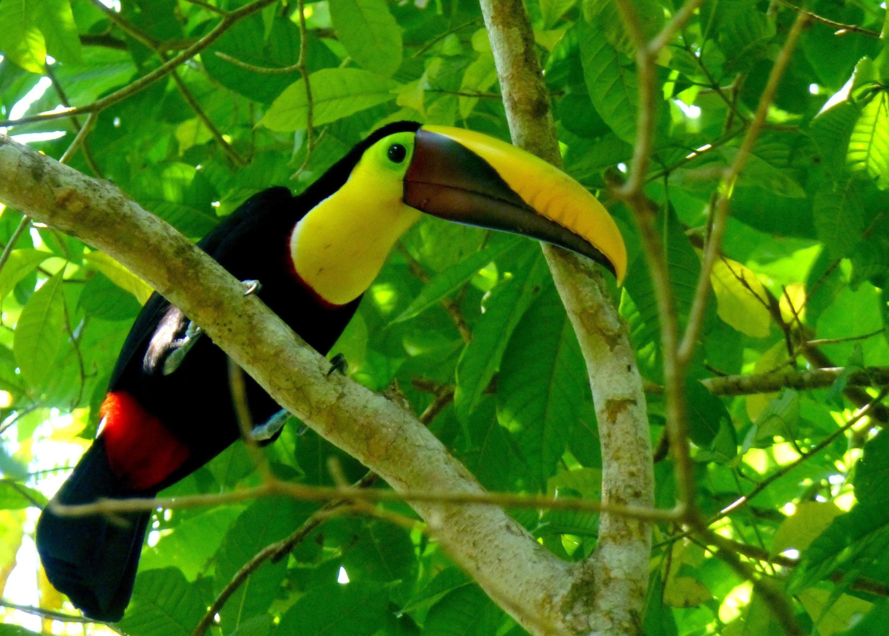 Foto - Jaco Hotel DoceLunas