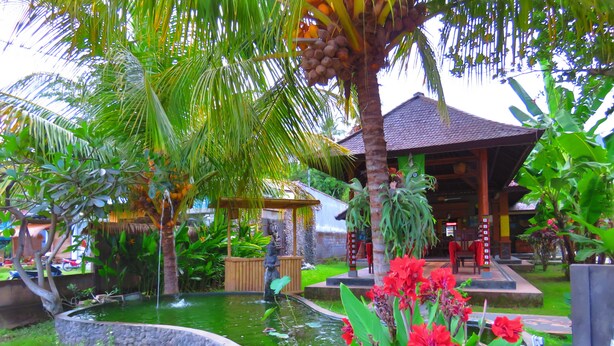 Un jardín tropical con un estanque, palmeras y flores rojas.