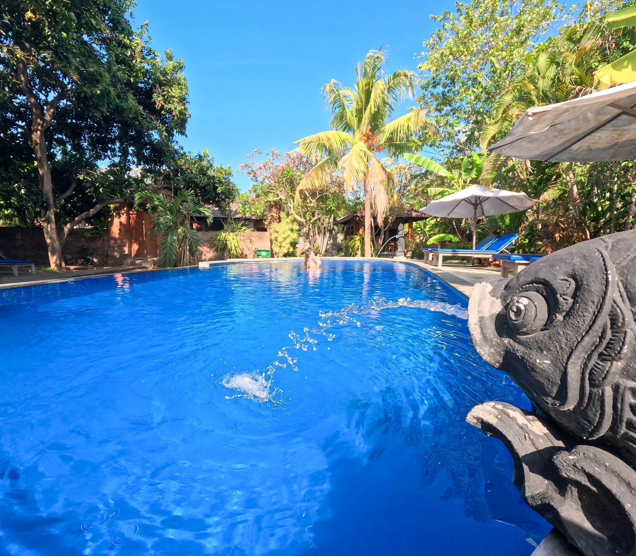 Outdoor pool, sun loungers