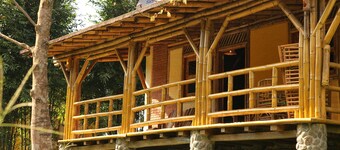 艾尔帕拉伊索德阿约塔科斯科牧场