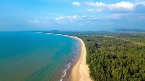 An aerial view of a beach with a forested area and mountains in the background.