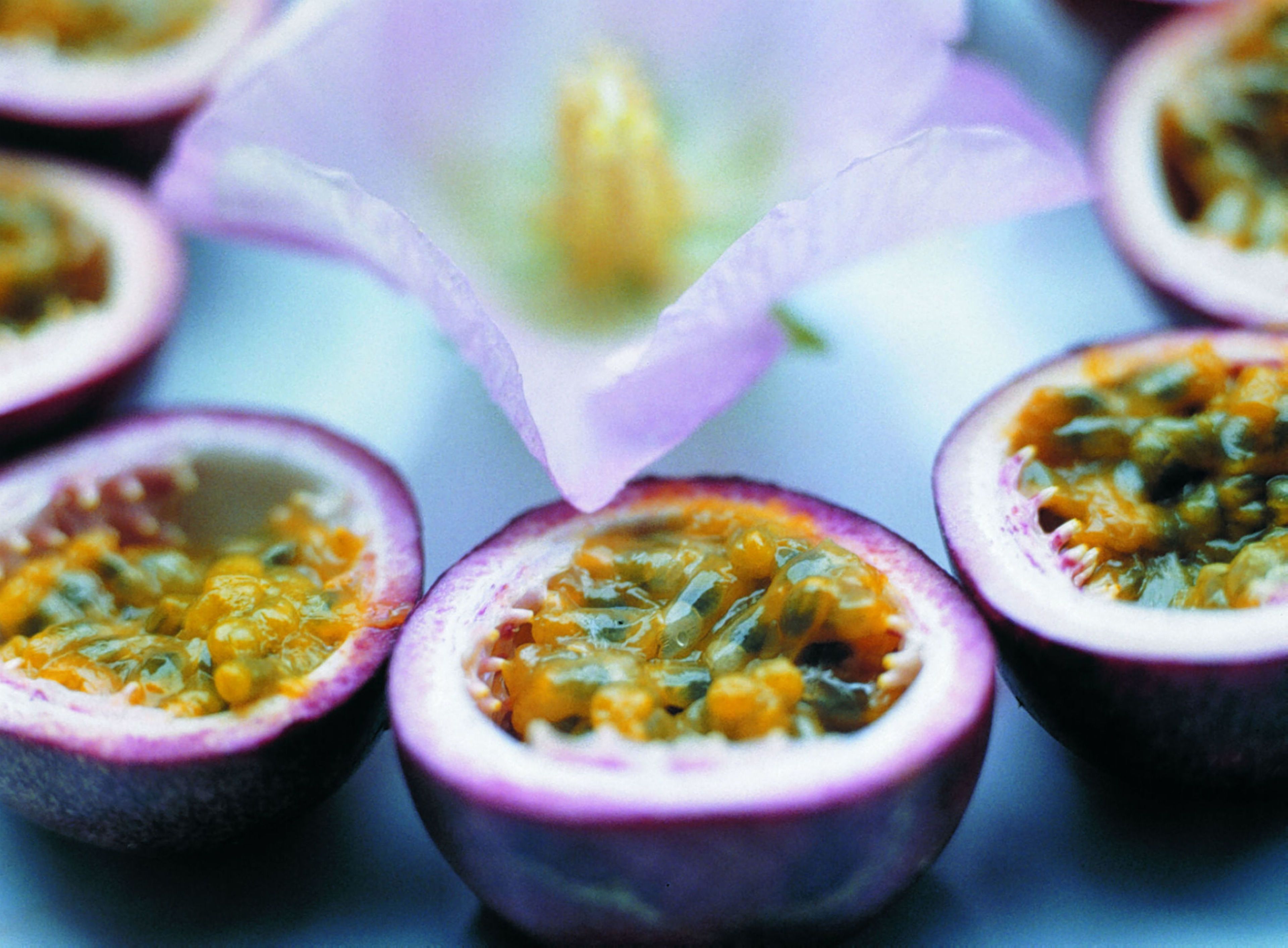 A close-up of passion fruit halves filled with a yellow fruit filling, surrounded by other passion fruit halves.