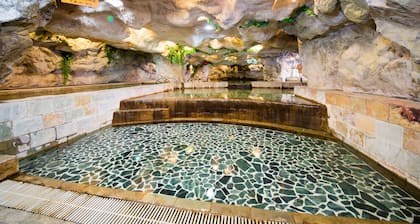 Hotel Tilun Dongpu Spa