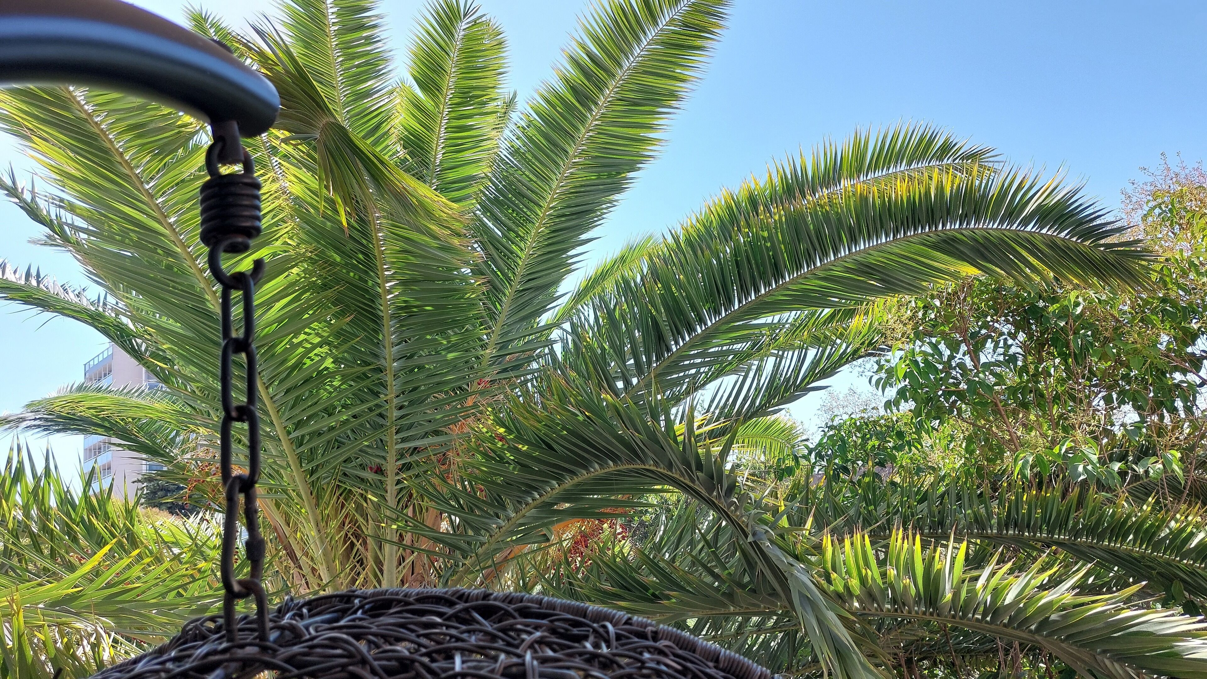 部屋からの景観