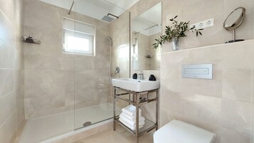 Un baño moderno con ducha envuelta en vidrio, un lavabo blanco con espejo arriba y una pequeña planta en maceta en la pared.