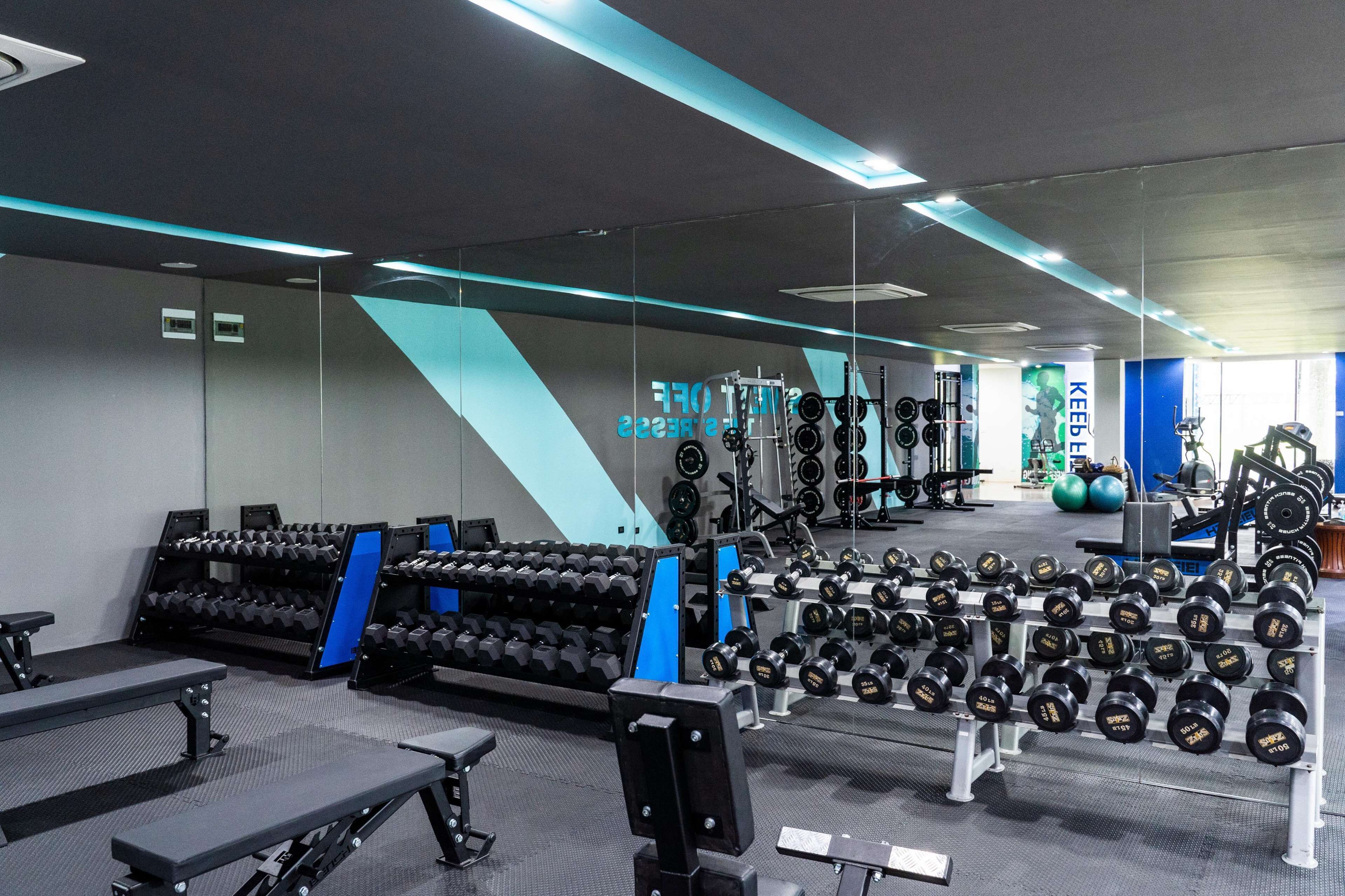 Un gimnasio moderno con diversos equipos de levantamiento de pesas, incluyendo mancuernas y bancos.