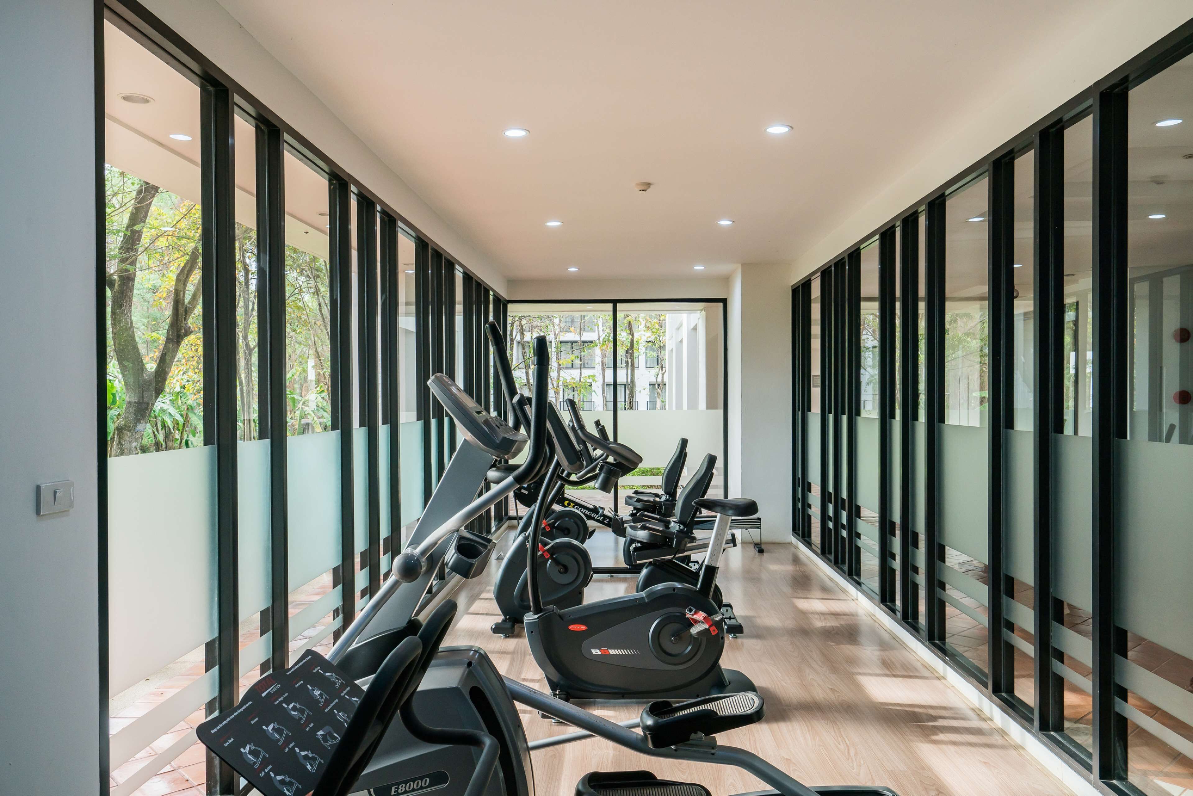 A gym with cardio machines, large windows, and a view of trees.