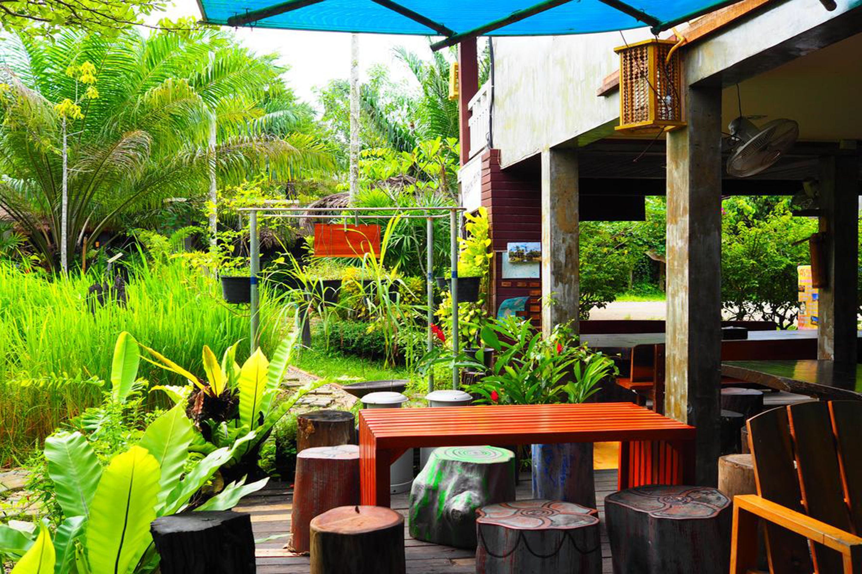 朝食、ランチ、ディナーに営業 (多国籍料理、屋外席)