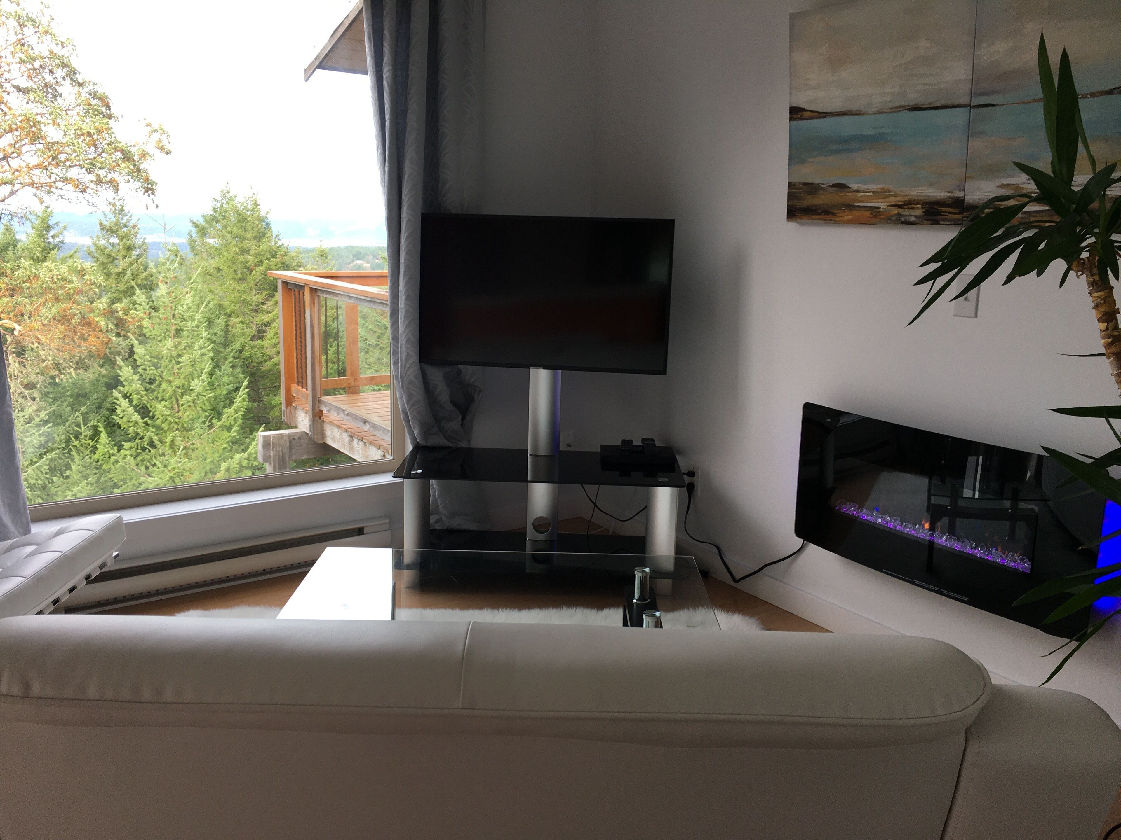 A living room with a flat-screen TV on a stand, a fireplace, and a large window overlooking a deck and trees.