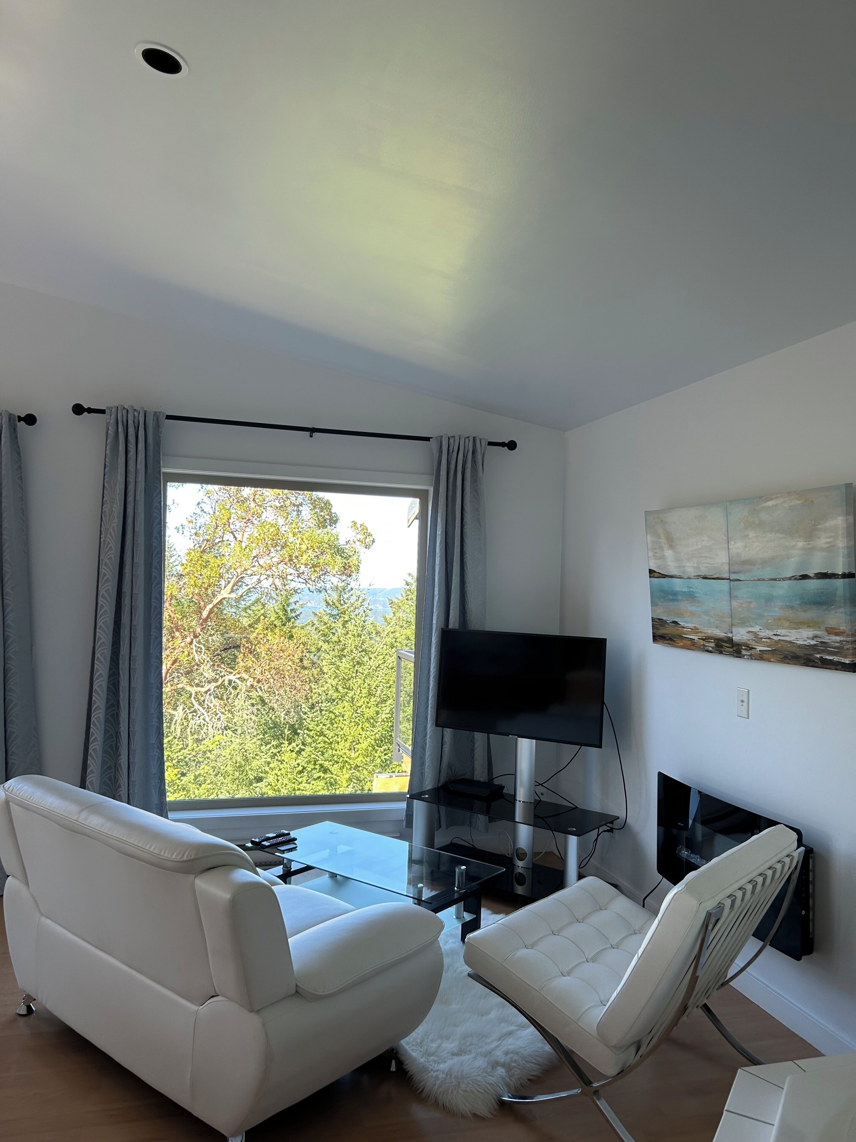 Una sala de estar moderna con un sofá, un sillón, un televisor y un cuadro en la pared.