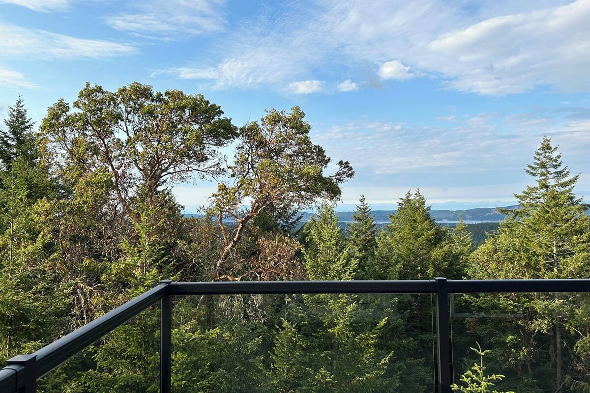 A forested landscape with a clear sky and distant mountains.
