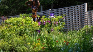 A garden with a wooden fence and a statue. - Elevate Rooms Armand Heights (Salt Spring Island)