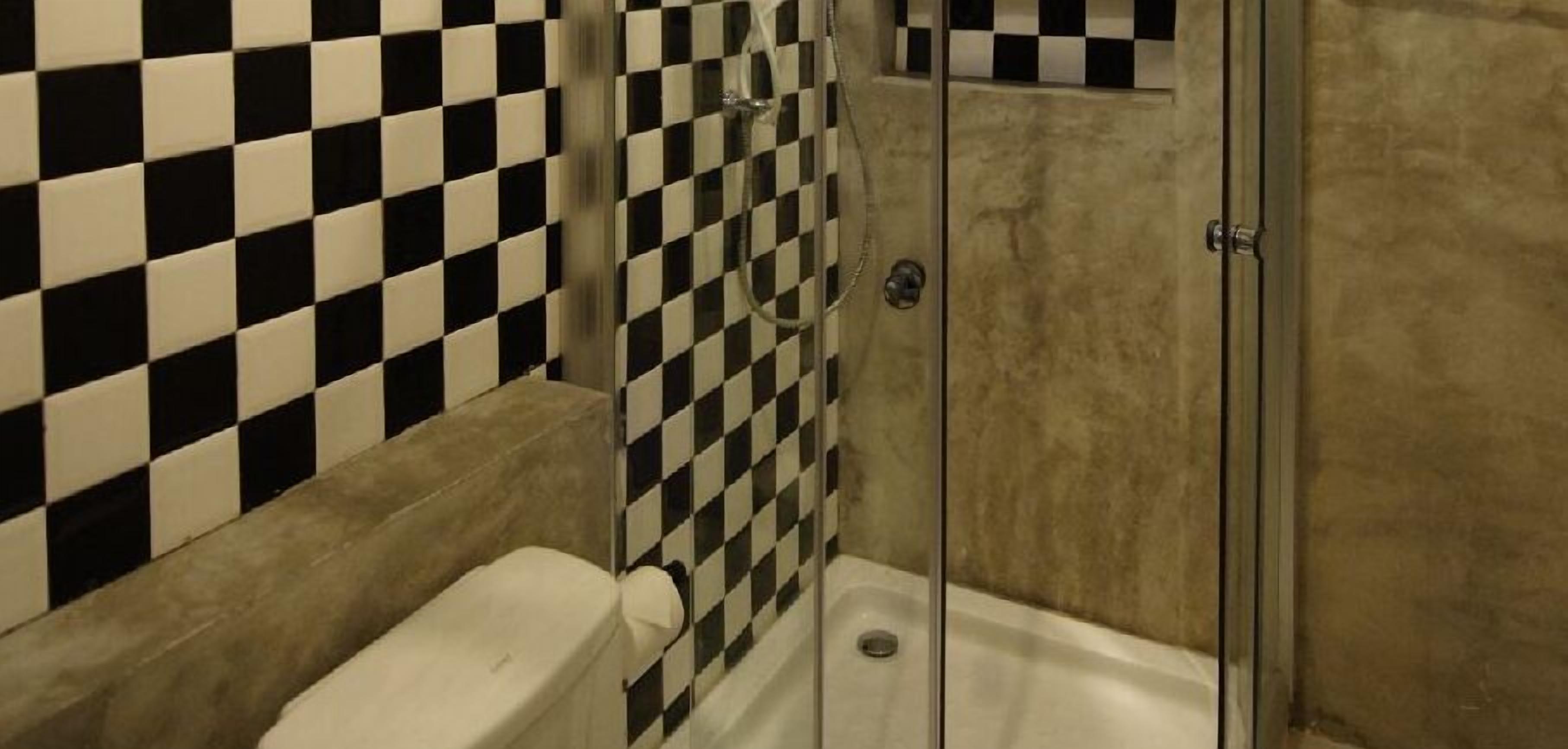 A bathroom with a checkered black and white tile wall, a glass shower enclosure, and a toilet.