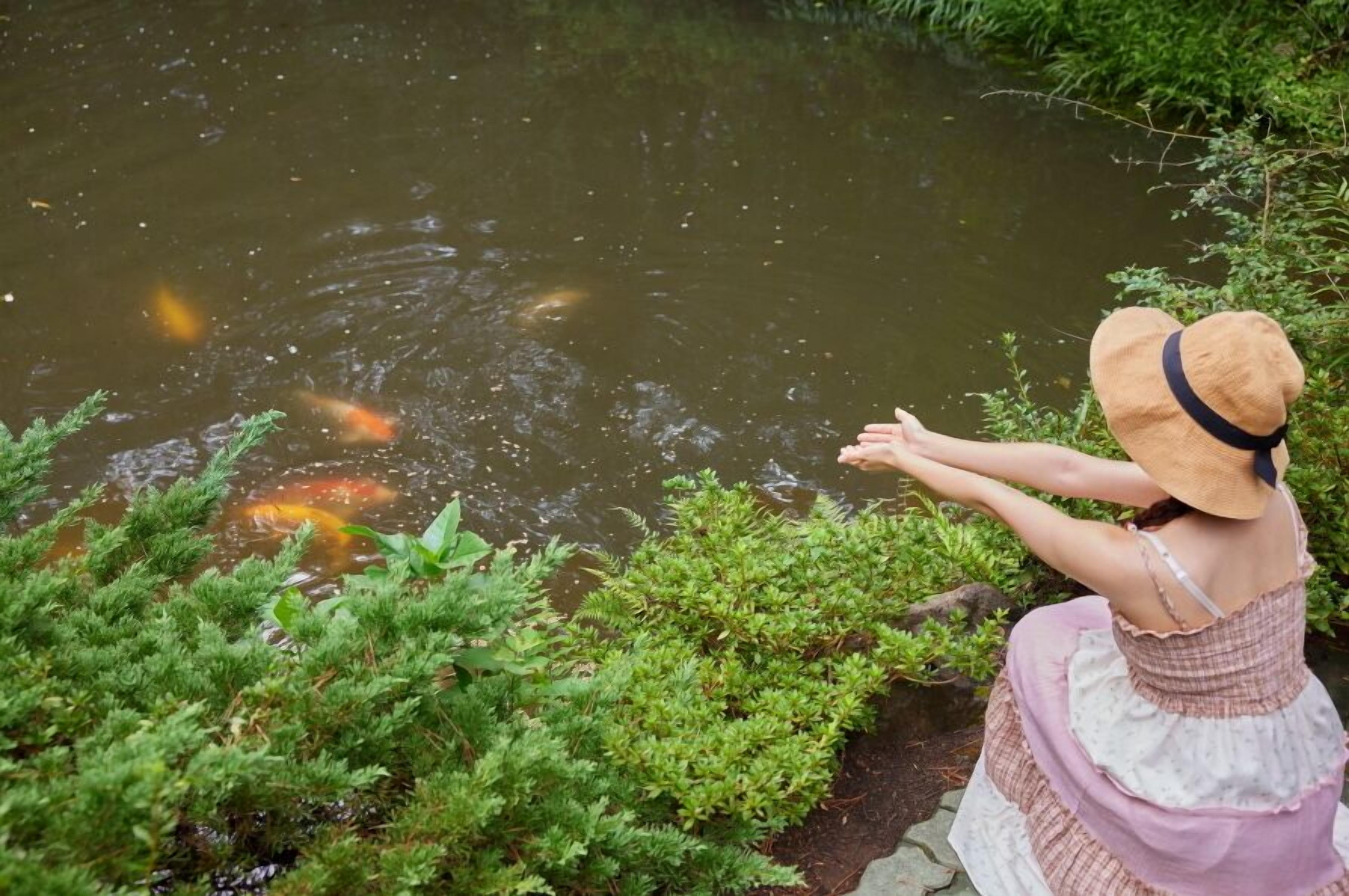 Una persona con sombrero y vestido junto a un estanque con peces.