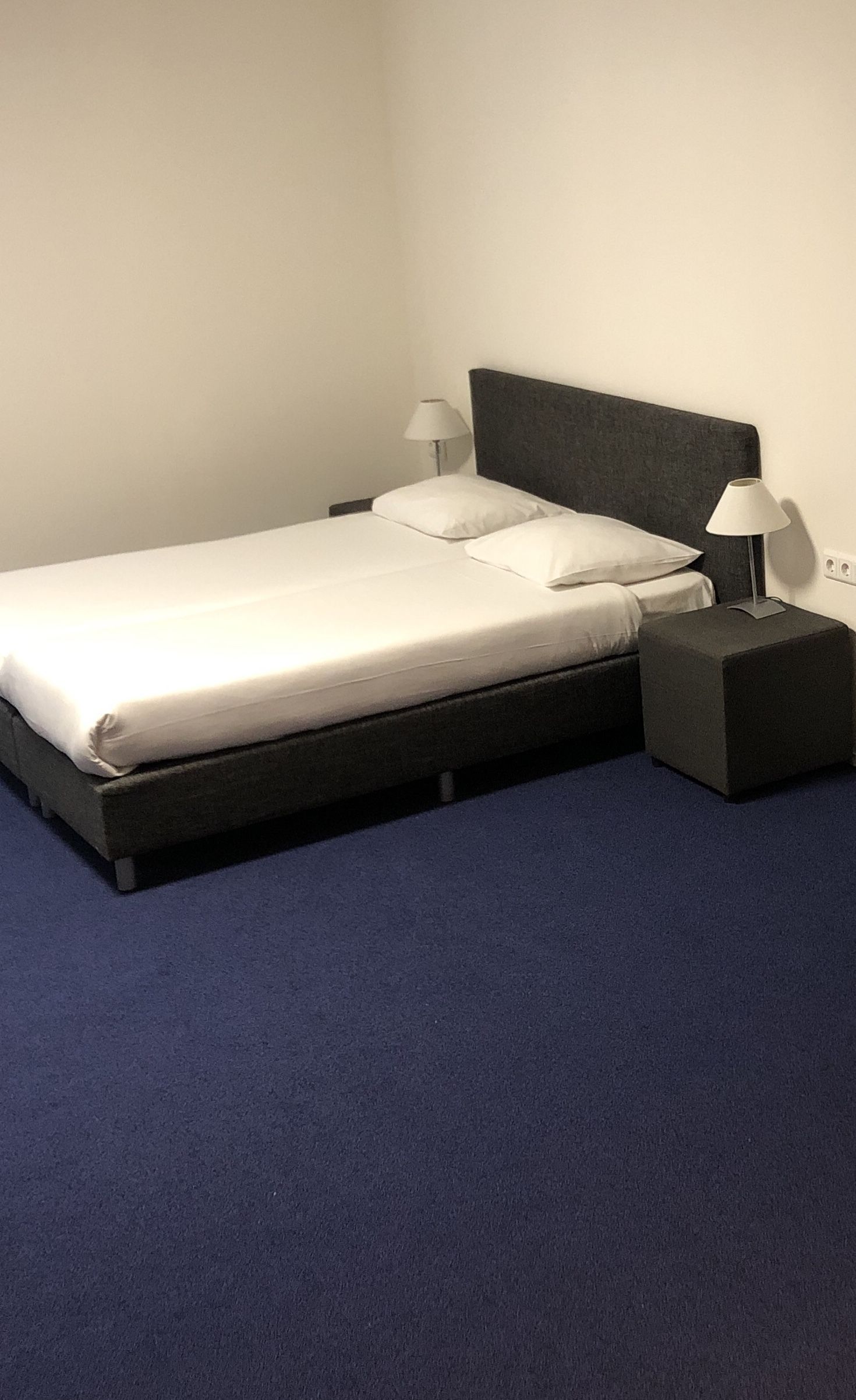 Een enkel bed met een donker hoofdbord, twee bedlampjes en een klein nachtkastje.