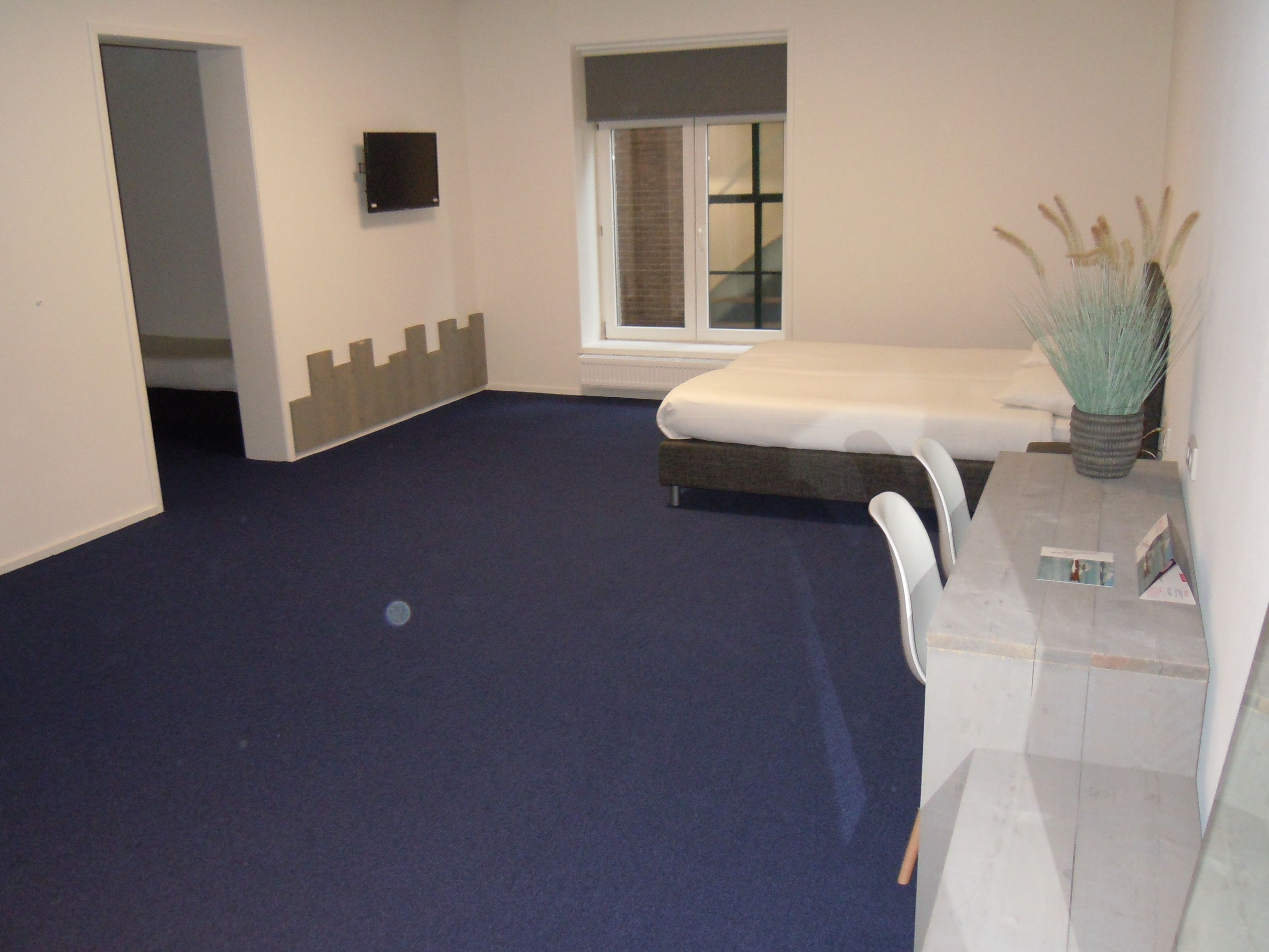 Una habitación con alfombra azul, una cama, un ventanal, un televisor de pared y una planta en maceta.