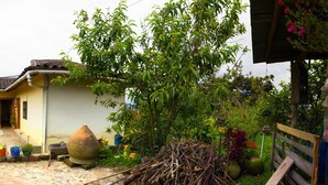 A courtyard with a yellow building, a large pot, and a dog. - Loma Wasi Village (Cotacachi)