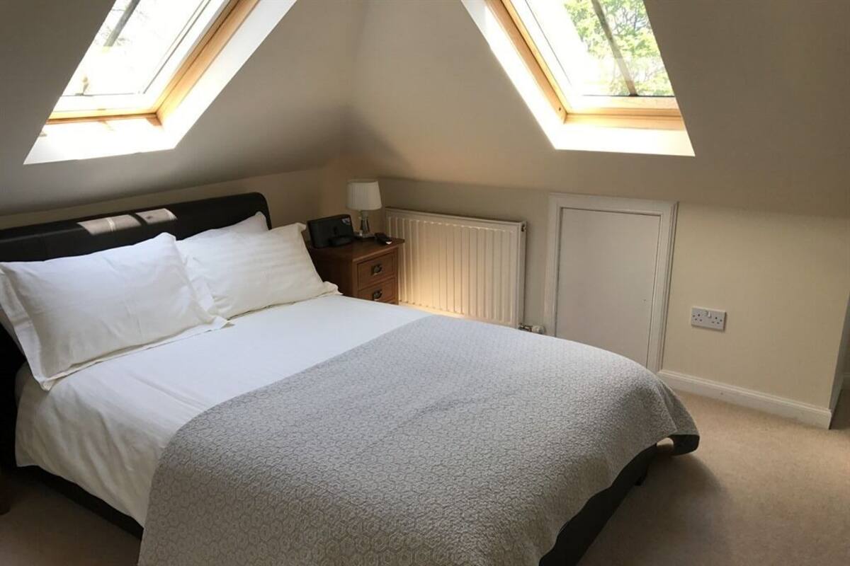 A bedroom with a bed, two bedside tables, a nightstand, a radiator, and two skylights.