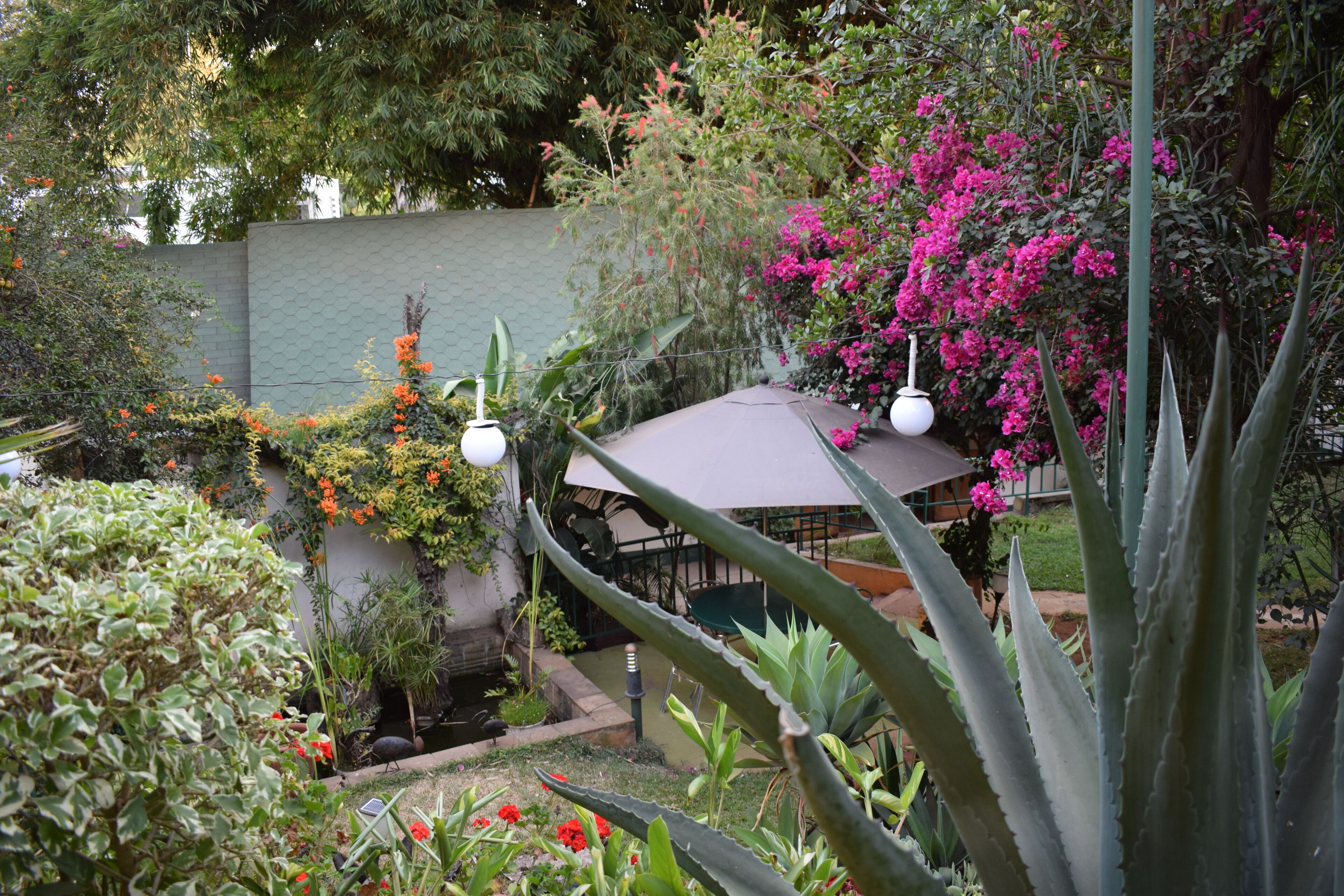 Foto - Hotel Riverview Westlands