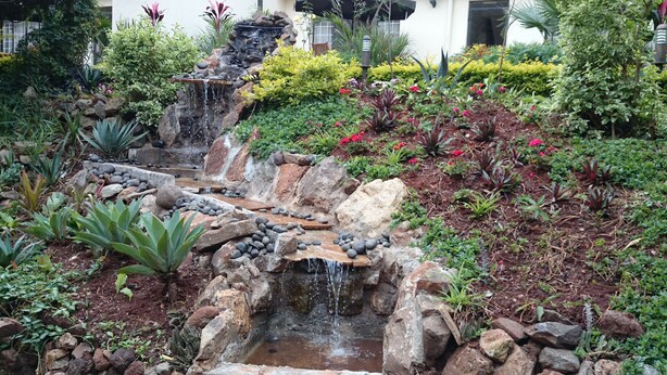 Een tuin met een kleine waterval, diverse planten en een pad van stenen.