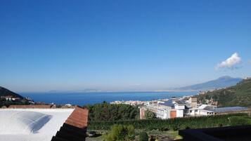 Vista desde la propiedad