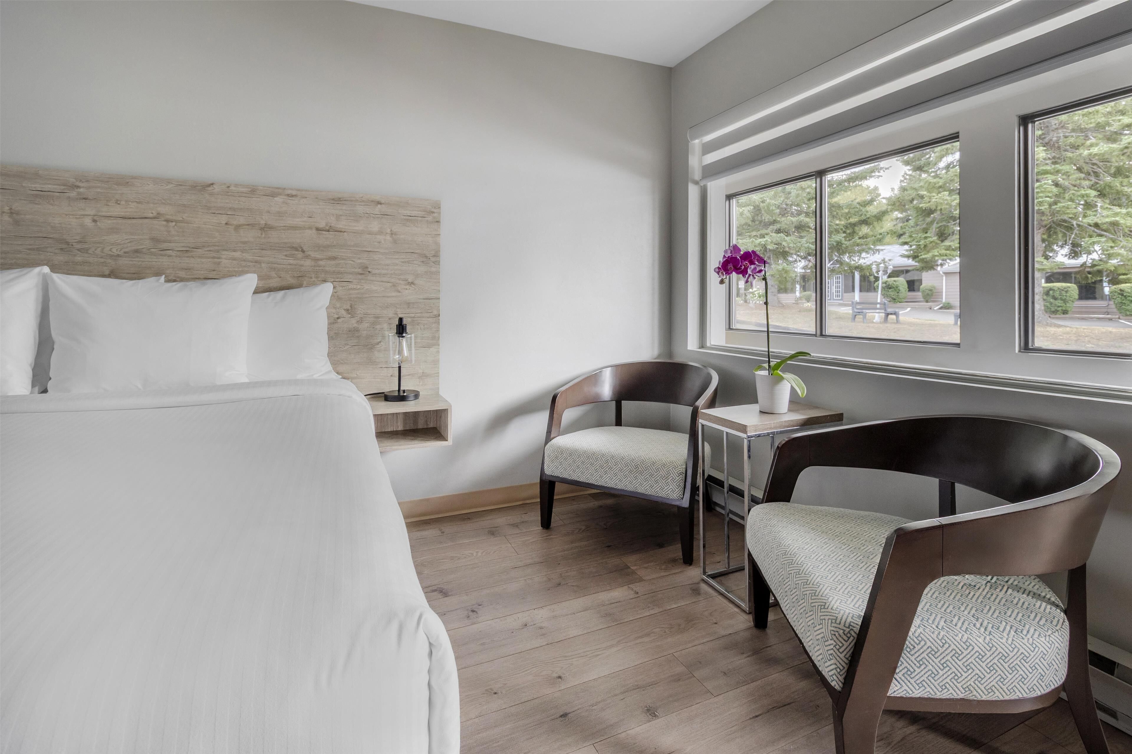 standard room, 1 king bed, non smoking, refrigerator & microwave | 1 bedroom, laptop workspace, iron/ironing board, rollaway beds