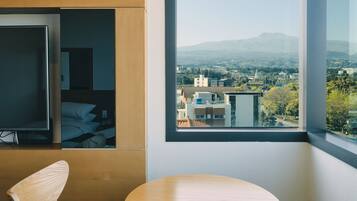 Vista desde la habitación