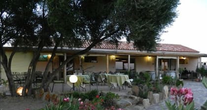 Locanda Murales