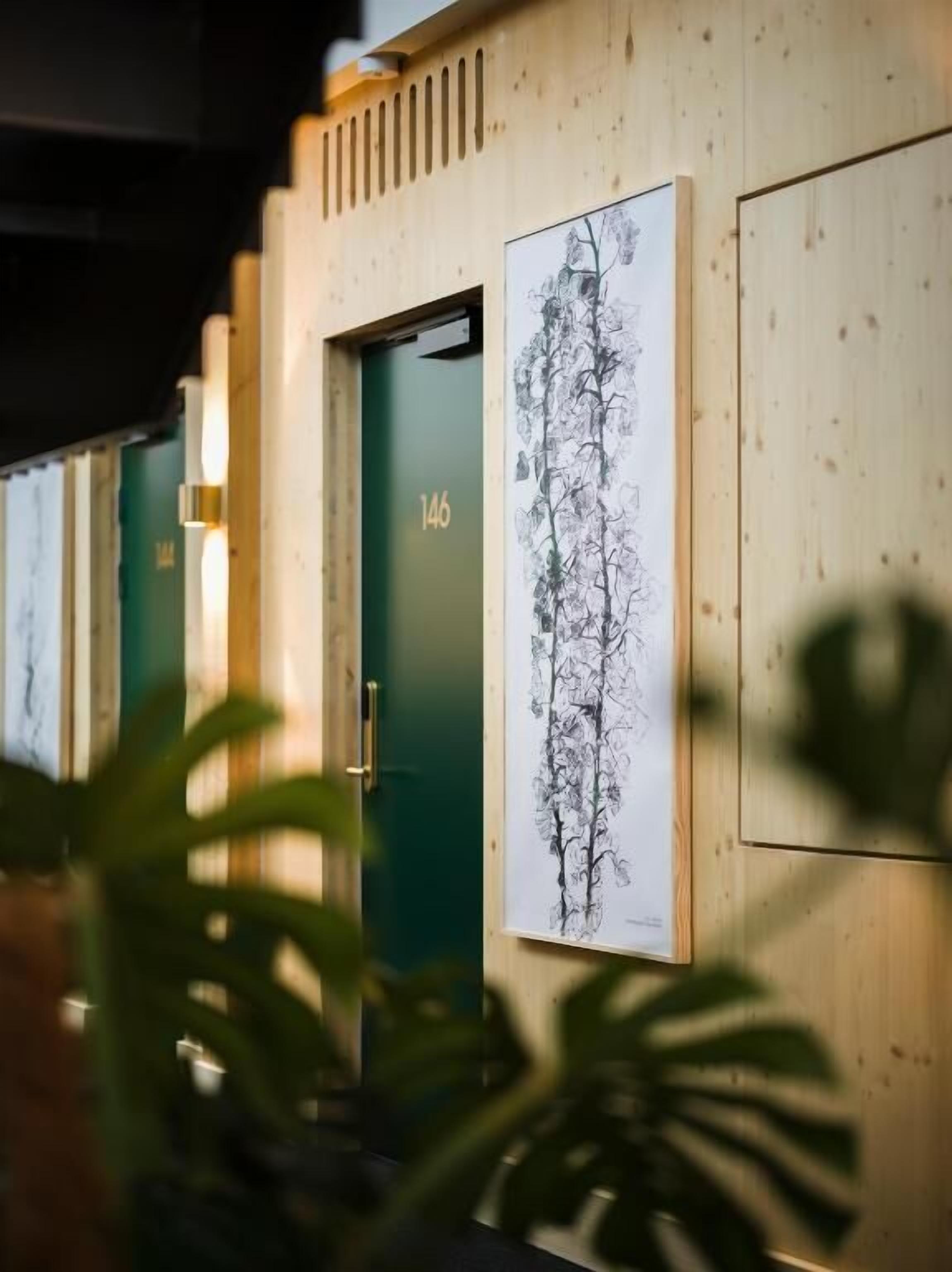 A room with a green door labeled '146', a wall-mounted artwork, and a potted plant in the foreground.