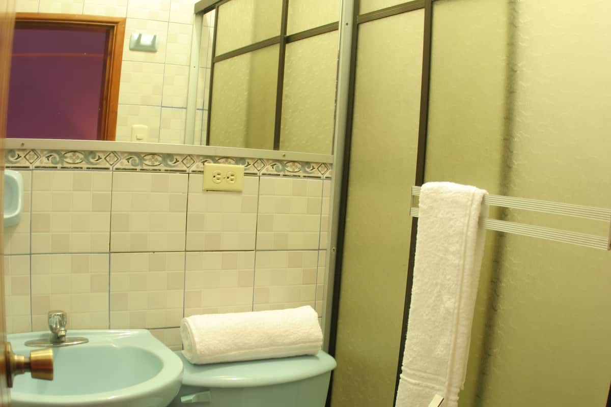 Shower, free toiletries, hair dryer
