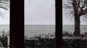 A view through a window with a snowy landscape, a tree, and a chair.