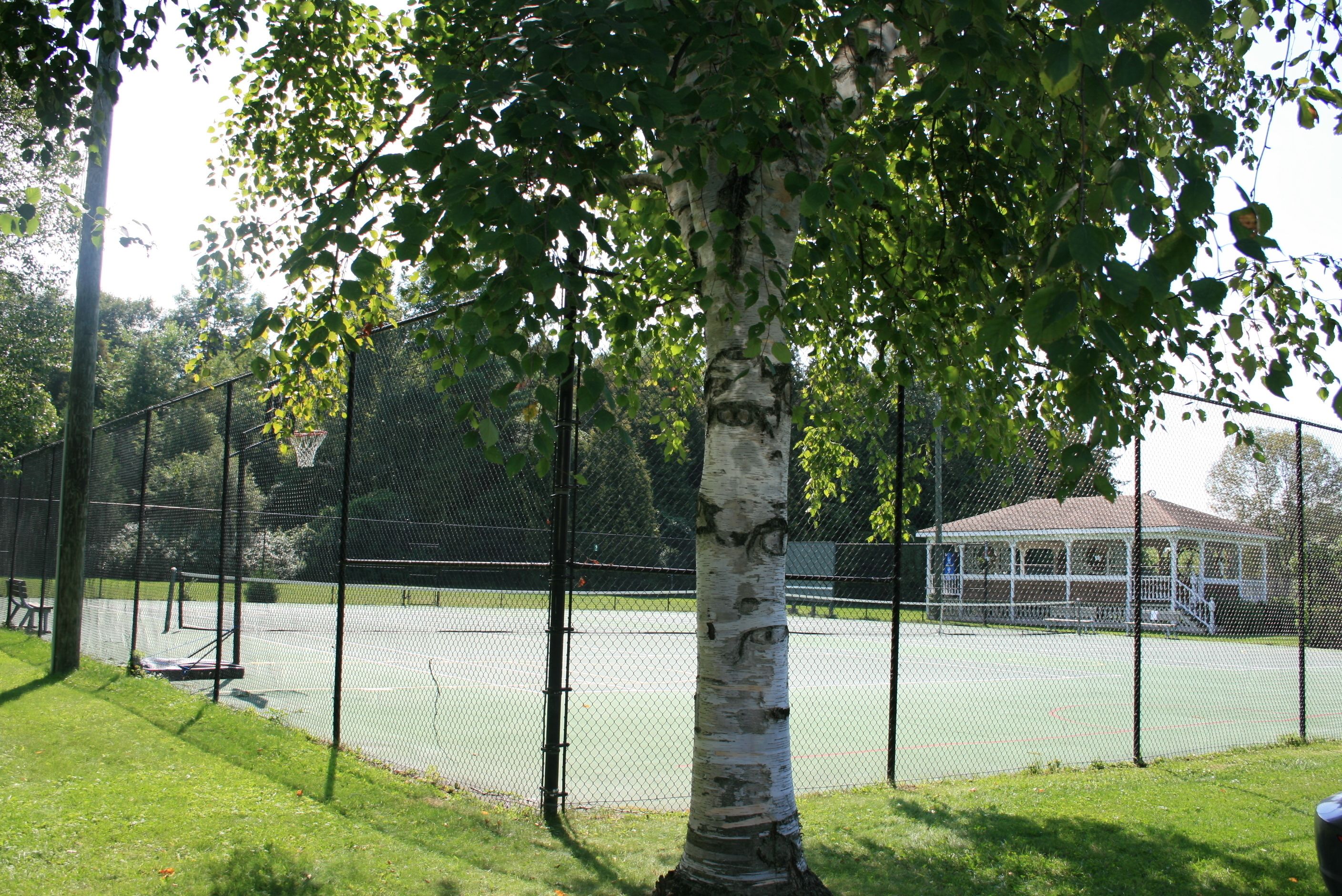 tennis court