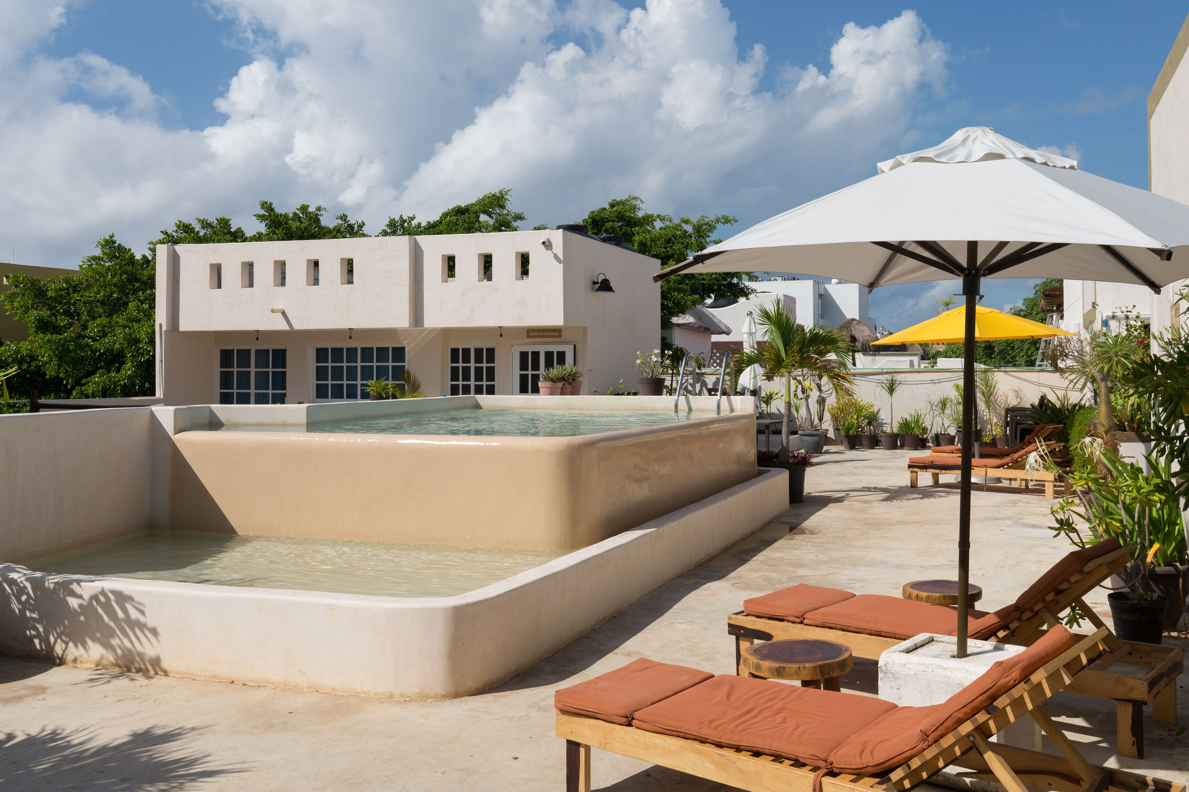 Un área de piscina en la azotea con sillones reclinables y sombrillas, rodeada de plantas en macetas y un edificio con varias ventanas.
