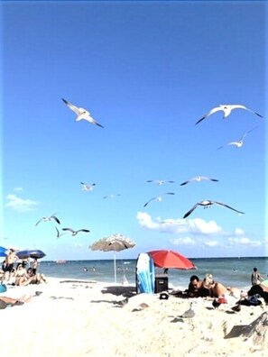 Beach nearby - Ipana Dream Downtown Playa del Carmen (Playa del Carmen)