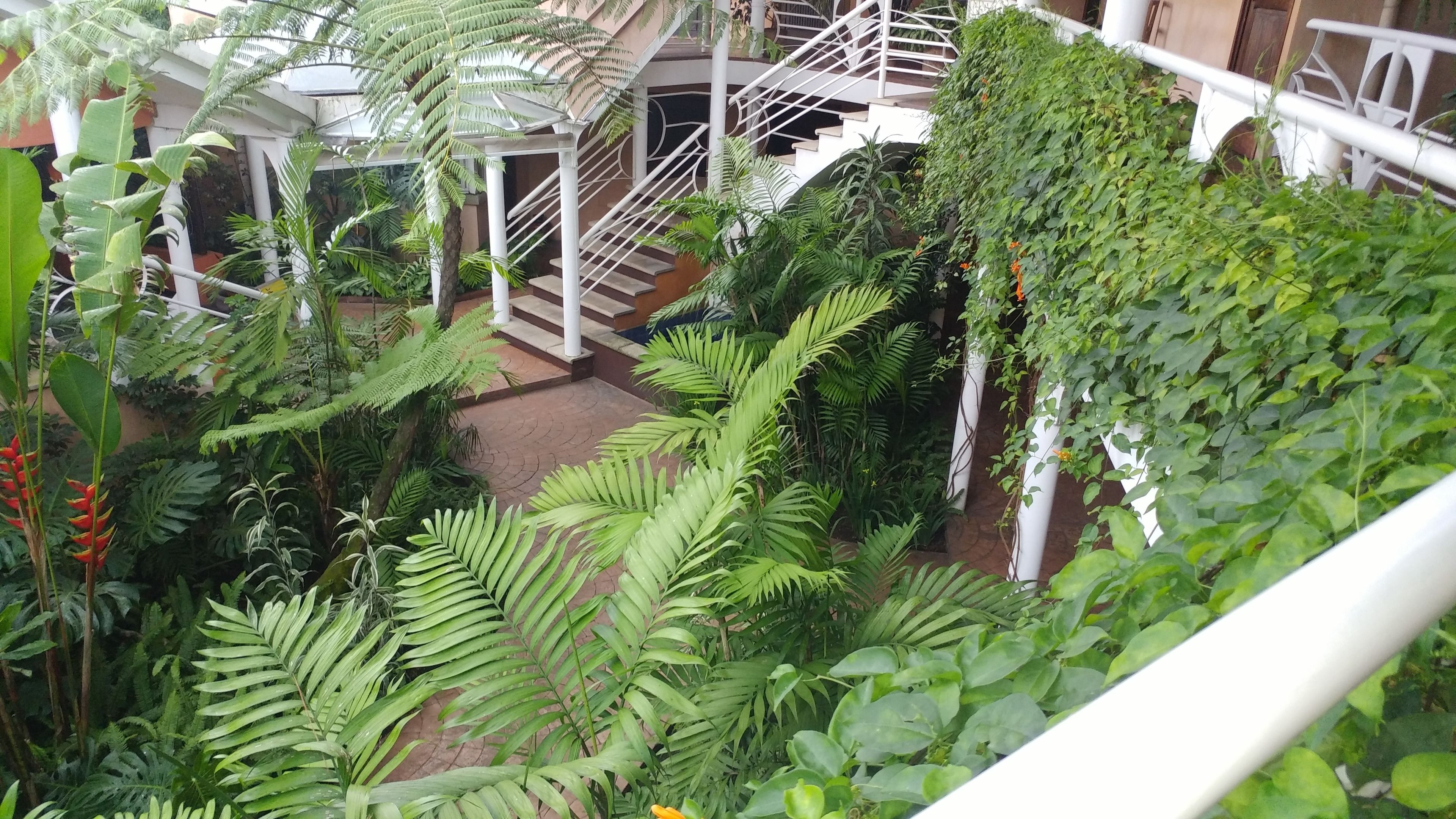 Un exuberante jardín interior con diversas plantas y una escalera blanca.