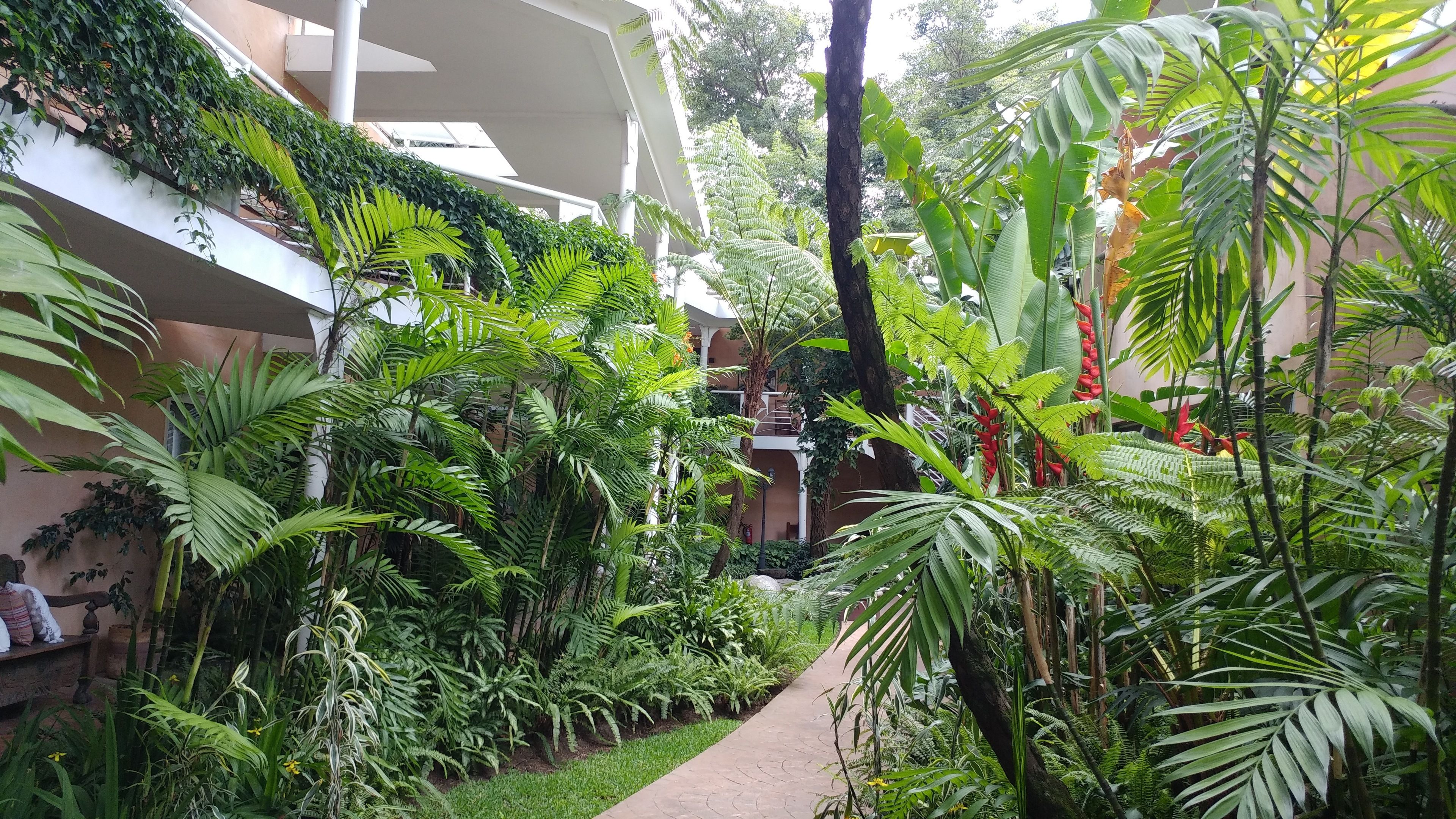 Vista frontal de la propiedad