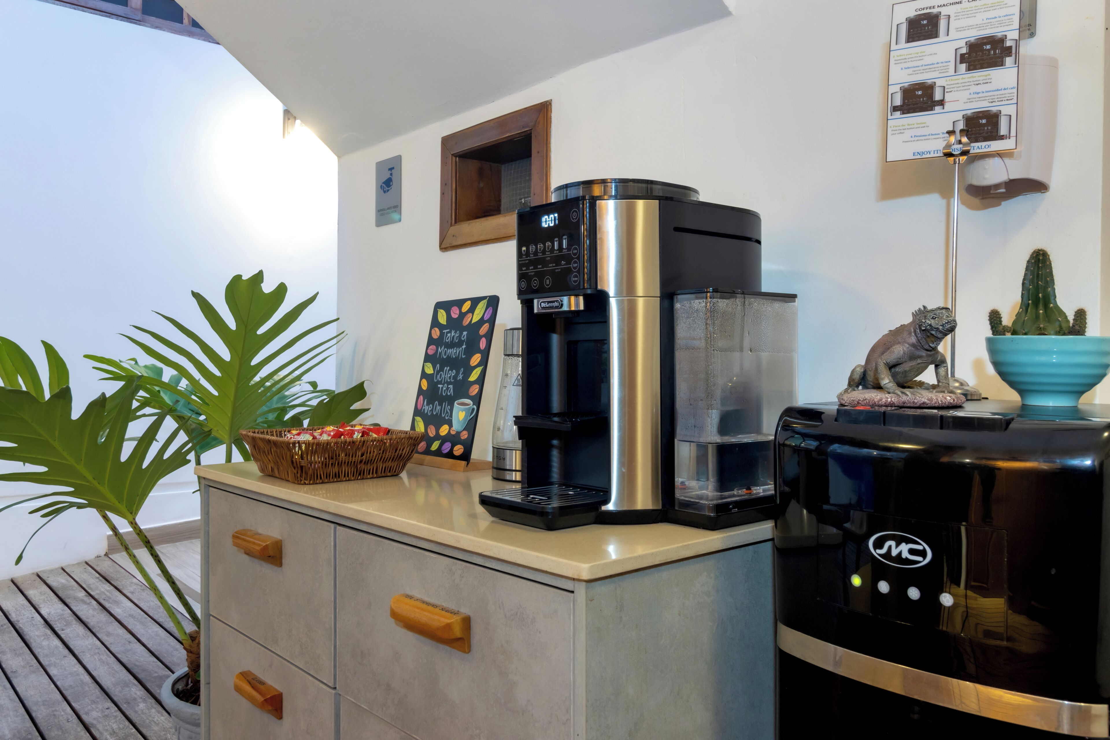 A coffee station with a coffee machine, a basket of fruits, and a cactus decoration.