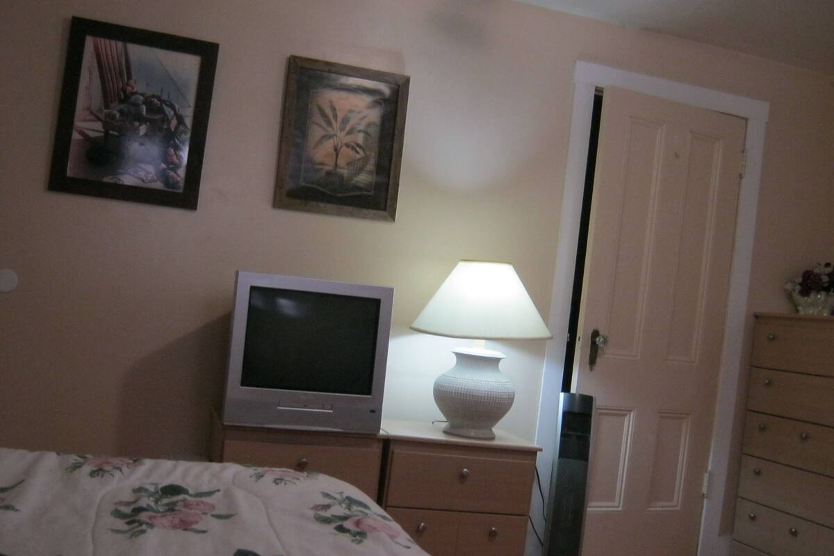 Un dormitorio con una cama, televisión, lámpara y cómoda.